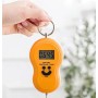 Ваги-кантер електронні до 50 кг MATARIX MX-450